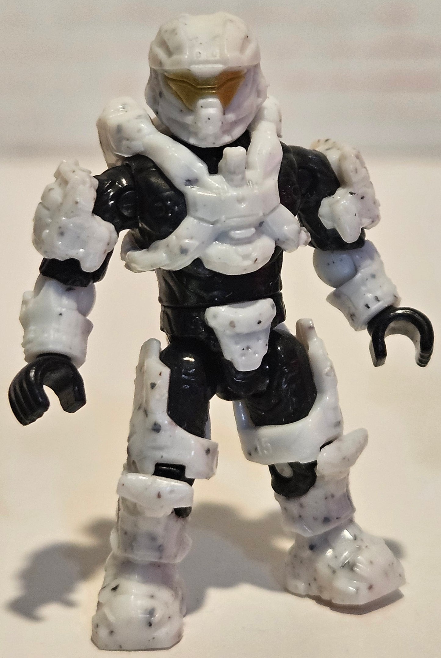 Spartan Recruit