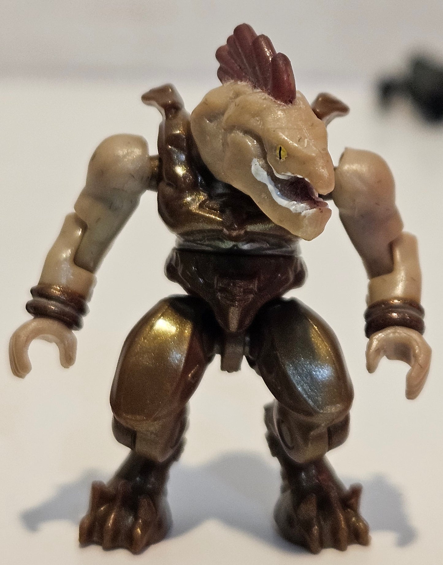 Storm Jackal