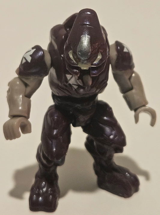 Storm Elite Minor