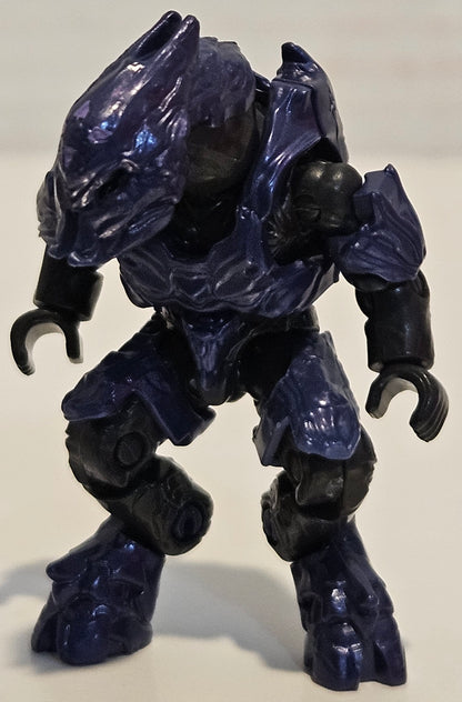 Elite Zealot