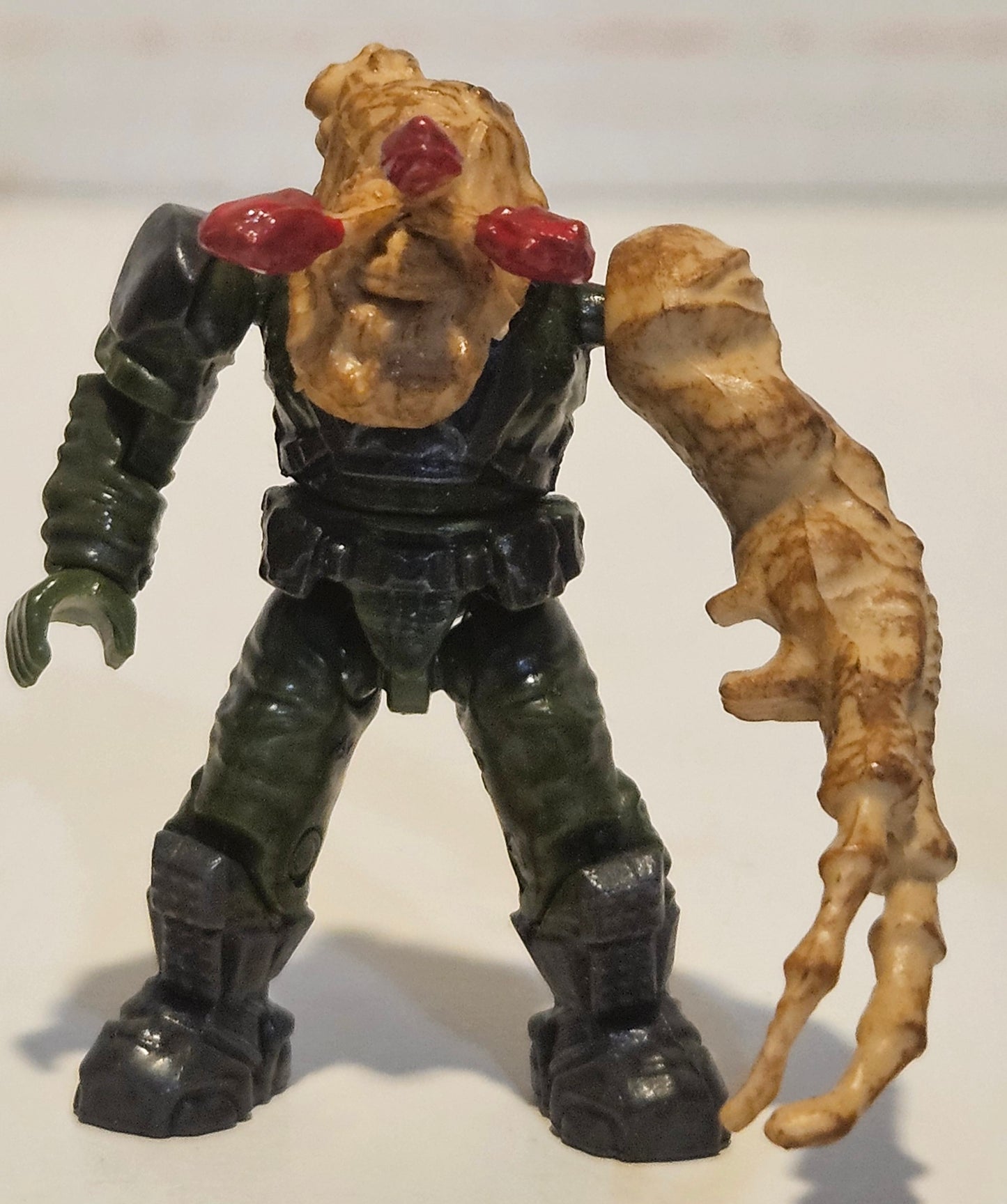 Flood Marine